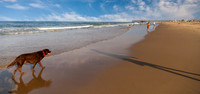 _MG_9613 Rex