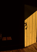Wood Door