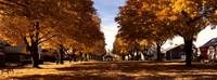 Village Green