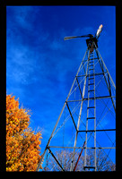 Tree & Windmill