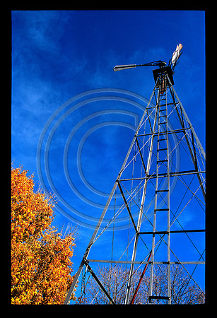 Tree & Windmill